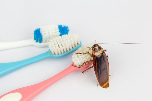 ESTERILIZADOR PARA CEPILLOS DE DIENTES