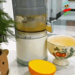 EXPRIMIDOR DE JUGO RECARGABLE